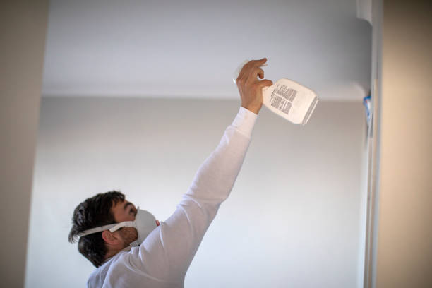 Best Bathroom Mold Remediation in North Hudson, WI