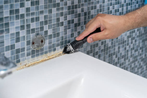 Professional Mold Remediation in North Hudson, WI