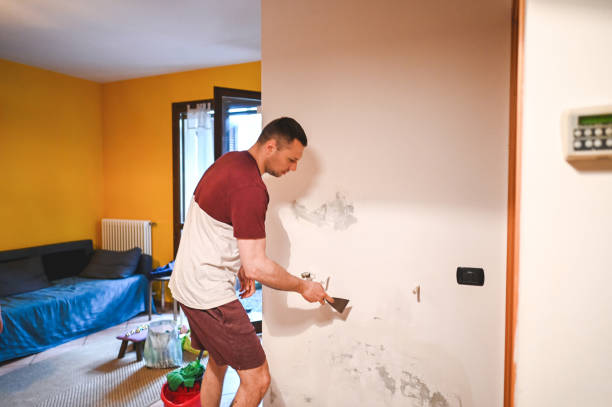 Best Kitchen Mold Remediation in North Hudson, WI